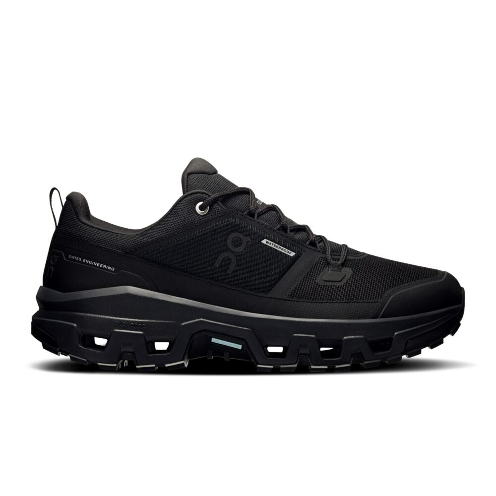 Louis Vuitton LV Skate Sneaker (Black)