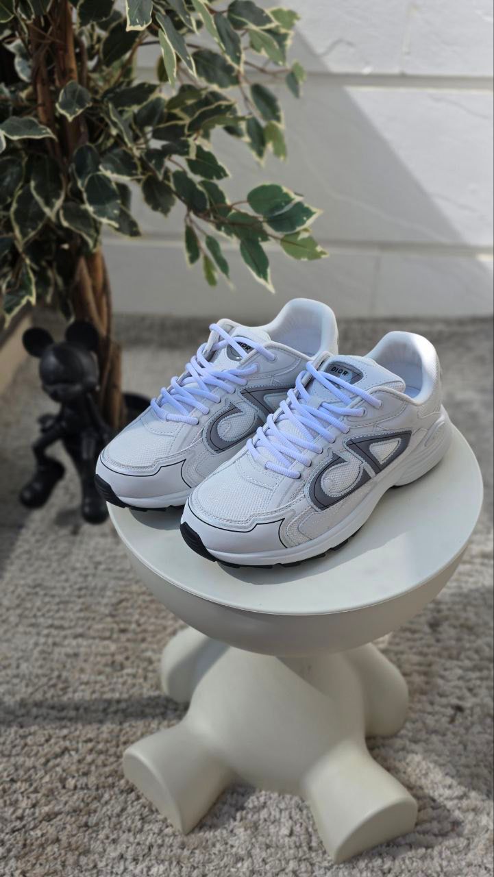 Dior B30 Low-Top Sneakers – White/Grey